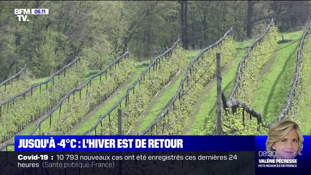 L'inquiétude des arboriculteurs avec le retour du froid et du gel
