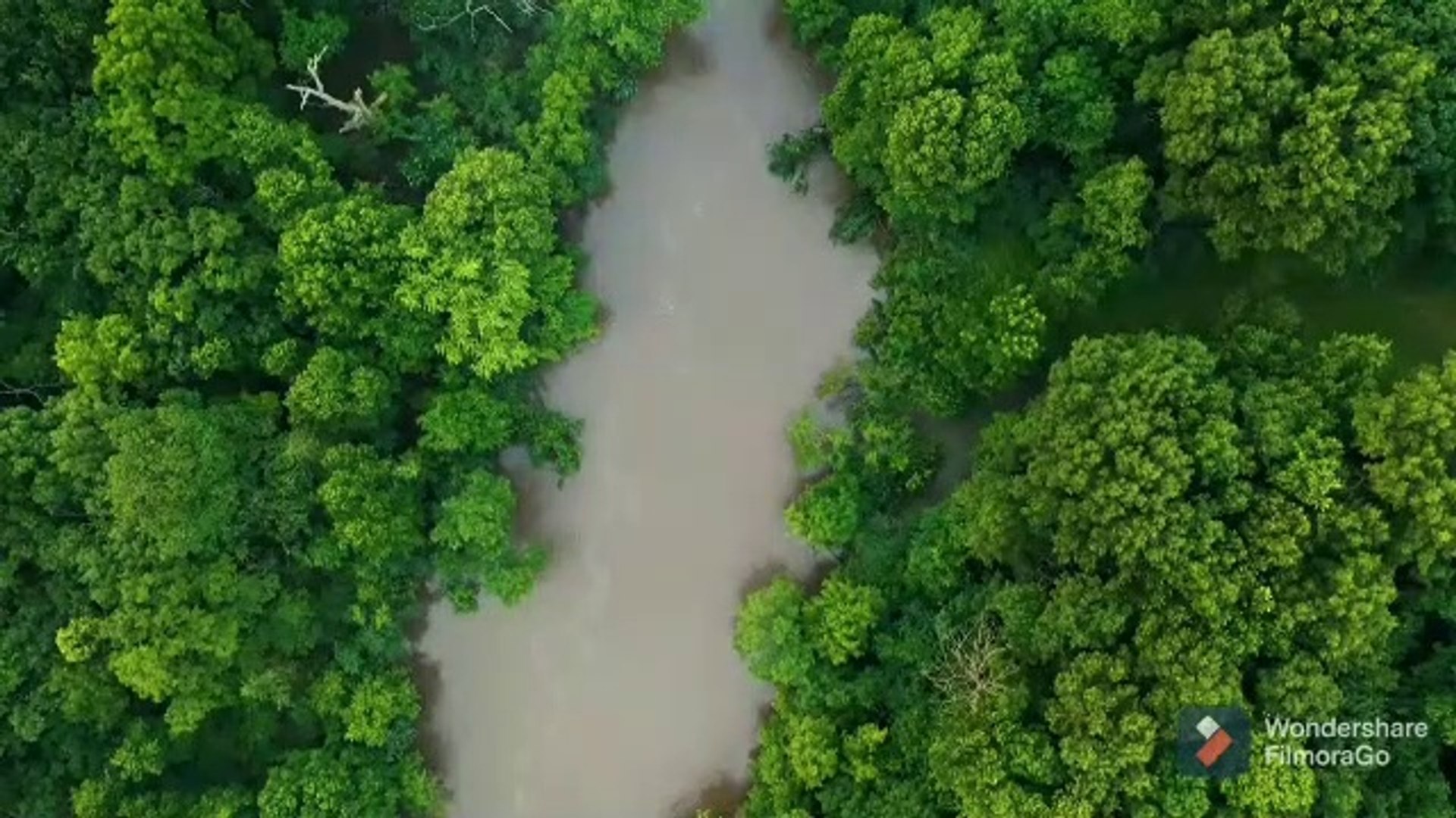 RELAXING MUSIC I MEDITATION MUSIC l CALMING MUSIC l STRESS RELIEF MUSIC l SLEEP MUSIC I