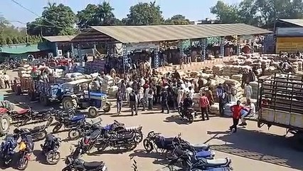 थोक फल-सब्जी मंडी में 14 अप्रैल तक बंद रहेगी खरीदी