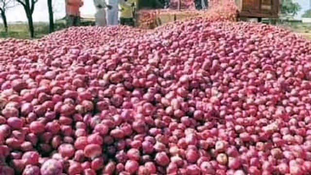 थोक फल सब्जी मंडी में 8 दिन बाद सोमवार को खरीदी