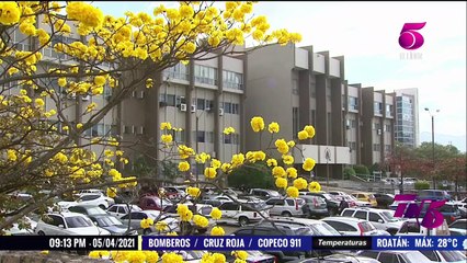 TN5 Estelar- 5 de Abril