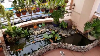 The beautiful mini koi fish pond in the balcony