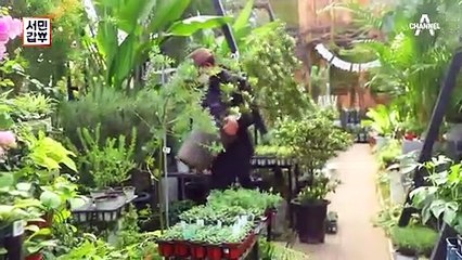 [선공개] 반려 식물로 이루어낸 성공 신화! 식집사 방석씨의 시크릿 가든이 궁금하다면?