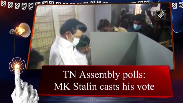 TN Assembly polls: MK Stalin, son Udhay Stalin cast vote