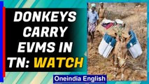 Tamil Nadu Elections: Donkeys become carriers of EVMs to villages in Dindigul | Oneindia News