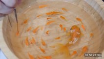 Artist Makes Beautiful Resin Fish Painting