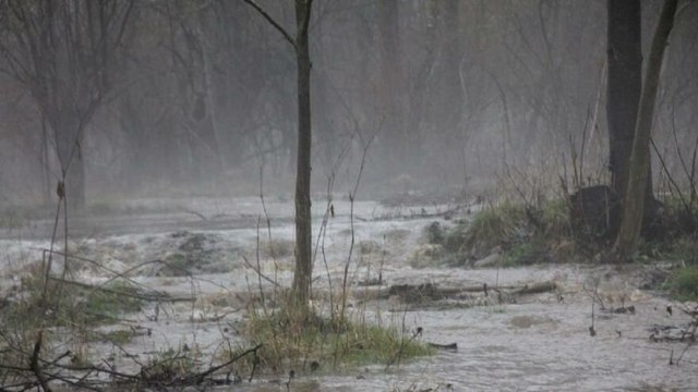 Domaniç'te dereler taştı, tarım arazileri sular altında kaldı