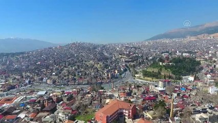 KAHRAMANMARAŞ - Metropoldeki işini bırakıp köyüne sera kuran eski bankacı 4 ülkeye çilek ihraç ediyor