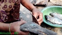 Live Tilapia Fish Cutting Skills Village Grandma #amazing fish cleaning and cutting Skills