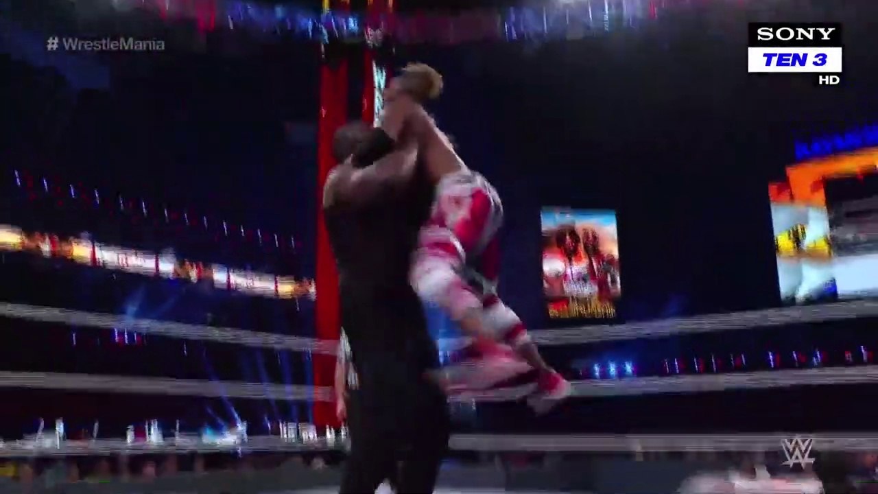 The_Best_Moments_from_Wrestlemania_Day_1 video Dailymotion