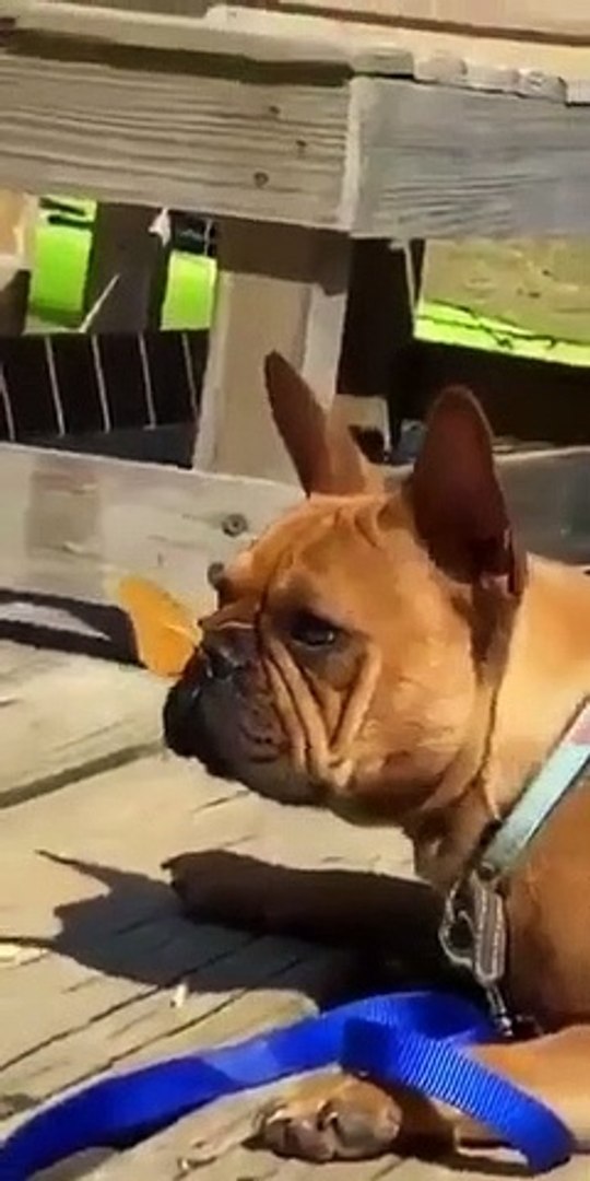 ⁣Best videos, Top videos, Viral videos Funny videos no. 93