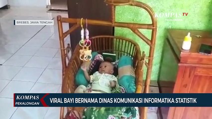 Viral Bayi Bernama Dinas Komunikasi Informatika Statistik