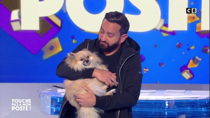 Cyril Hanouna nous présente sa chienne Nala !