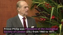 London Zoo Reopens With Tributes to Prince Philip