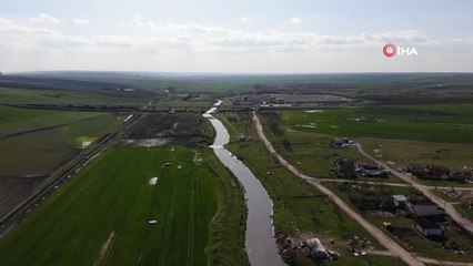 Çorlu Deresinde zehir akıyor