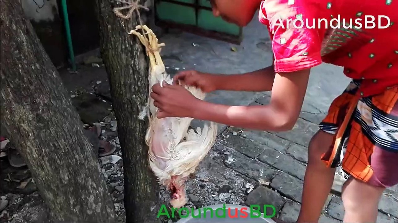 Local chicken Cutting Process Poultry Cutting in village house smaill boy