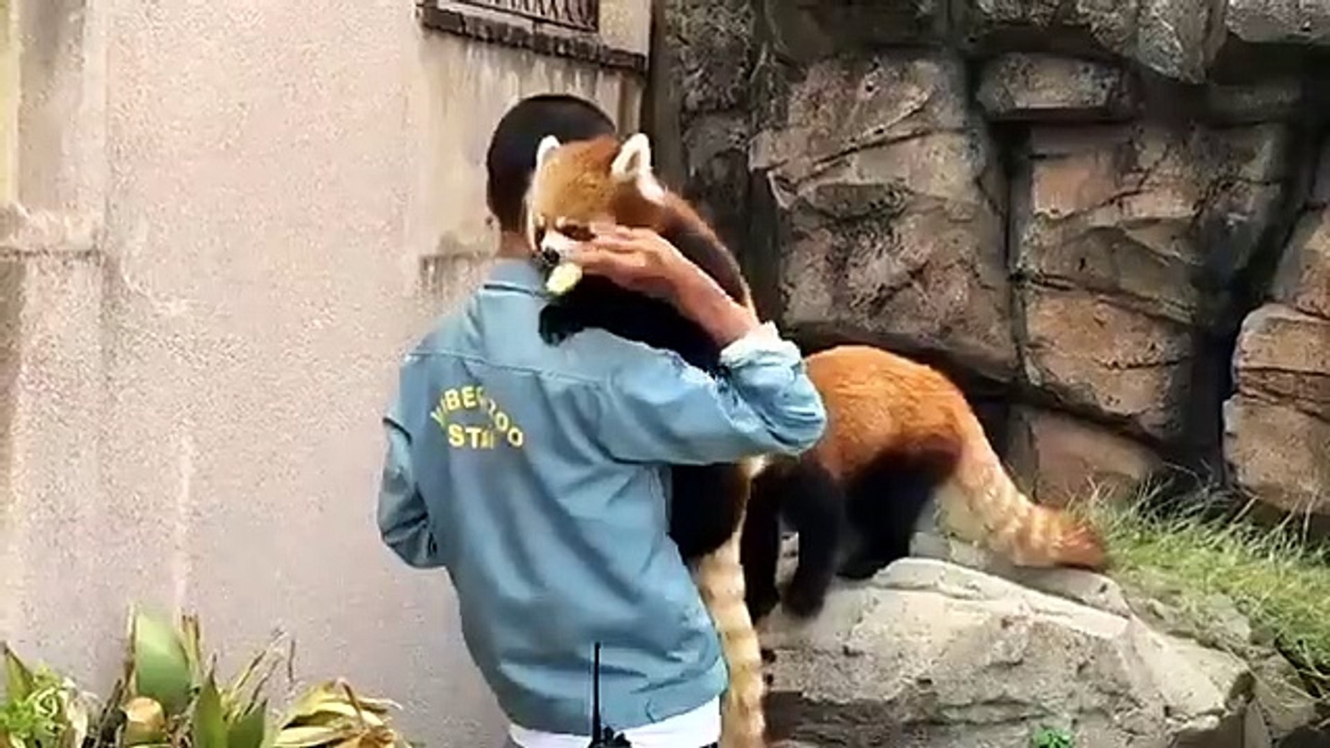 Best videos, Top videos, Viral videos Funny videos no. 39