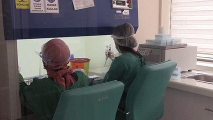 Son dakika haberi! KASTAMONU - Kovid-19 aşısı olan sağlık çalışanlarında antikor düzeyi araştırıldı