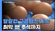 고공행진 멈추지 않는 달걀 값...최악 땐 추석무렵까지 지속 / YTN