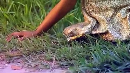 Pitshou Mwanza - Douleur Du Coeur