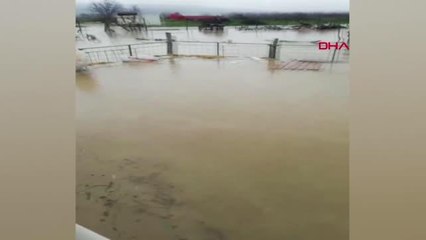 BURSA'DA ÇİFTLİĞİ SU BASTI, KUZULAR İŞ MAKİNESİYLE KURTARILDI