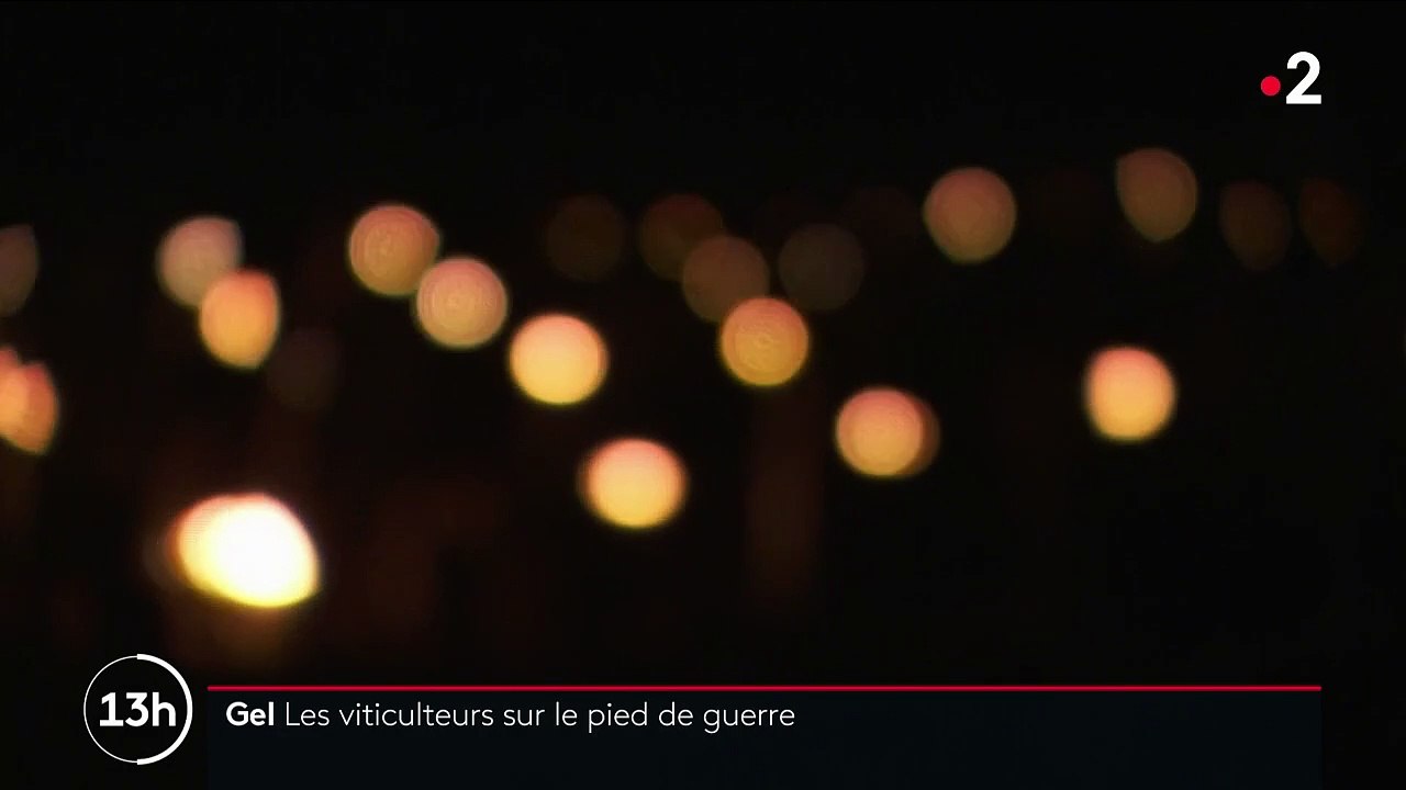 Grand froid : les viticulteurs redoutent le gel des vignes