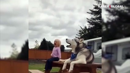 Çocuk ve köpeğin anlamsız çığlıkları güldürdü