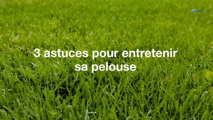 3 astuces pour entretenir sa pelouse