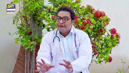 Bulbulay_|_Season_2_|_Episode_10_|_28th_July_2019_|_ARY_Digital_Drama(360p)