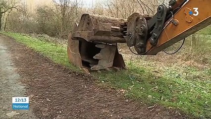 Affaire Estelle Mouzin : les fouilles reprennent dans les Ardennes suite aux informations apportées par Monique Olivier