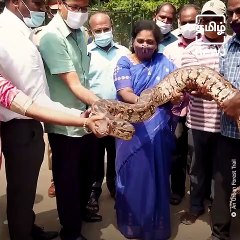 Tamilisai Soundararajan Wins Praises For Her Down To Earth Approach