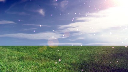 Music For Stress Relief and Sleep Music Soothing Relaxation