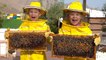 Diana and Roma Learn about Bees, HATTA Honey Bee Garden Tour - Fun family trip