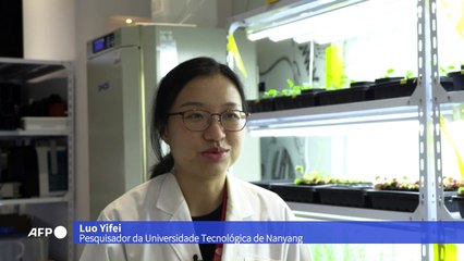 Robôs-planta são uma realidade