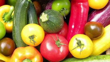 Antipasti de courgettes