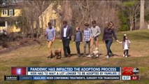 Pandemic has impacted the adoptions process, kids had to wait longer to be adopted by families