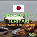 Brochettes de magret de canard grillées et vinaigrette Molho