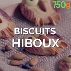 Sablés hiboux