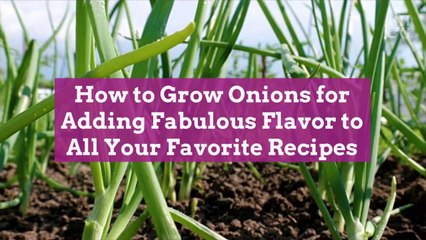 How to Grow Onions for Adding Fabulous Flavor to All Your Favorite Recipes