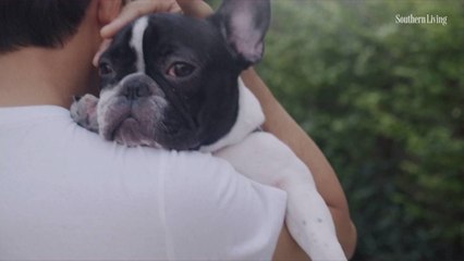 How Long After the Loss of a Pet Should You Wait Before Adopting Again?