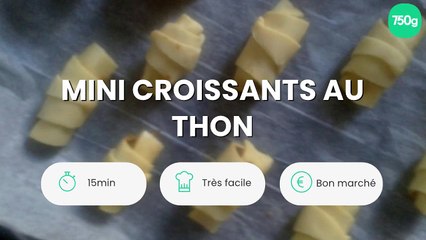 Mini croissants au thon