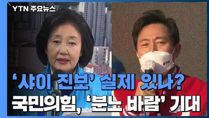 '샤이 진보' 실제 있을까?...국민의힘, '분노 바람' 기대 / YTN