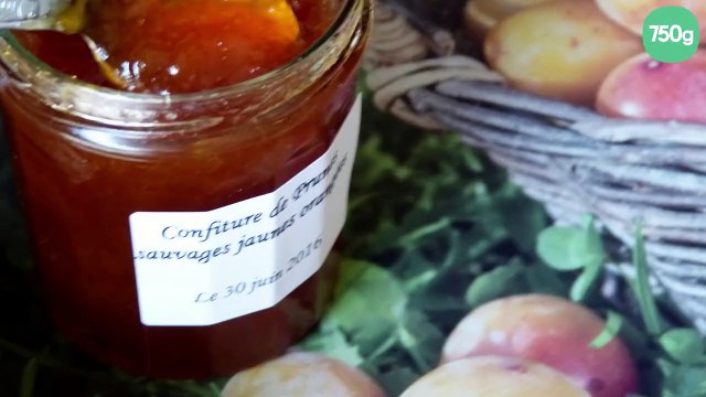 Confiture de prunes sauvages jaunes orangées