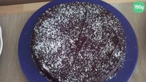 Gâteau au chocolat et noix de coco
