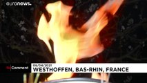 شاهد: إشعال الشموع لحماية البساتين من الصقيع في ألمانيا