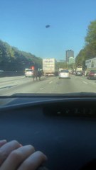 Commuting Cow