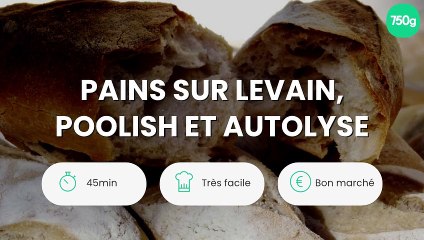 Pains sur Levain, Poolish et Autolyse