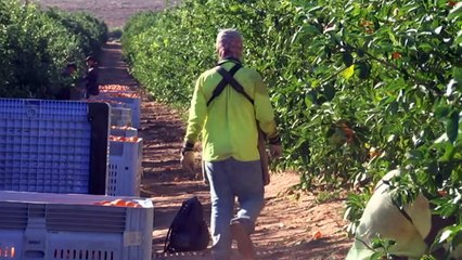 Overseas employees eligible for quarantine subsidy in NSW