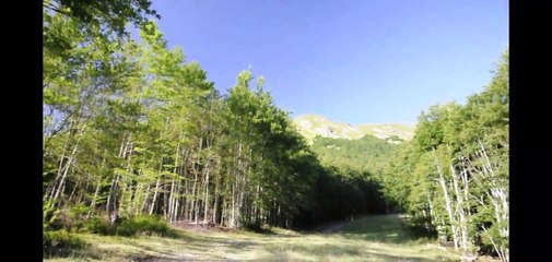 LUN.29-07-19: MONTE SASSO DEL MORTO, M. CUSNA, M.LA PIELLA E M.PRADO SULL' APP.TOSCO EMILIANO.