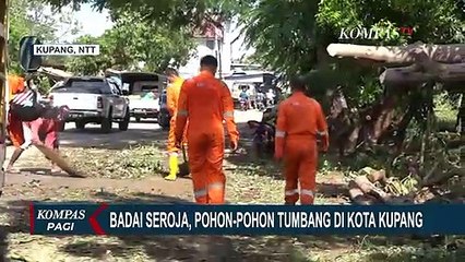 Pasca Diterjang Badai Seroja, Pohon Tumbang Hingga Sisa Lumpur Masih Halangi Akses Jalan